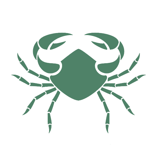 Icon of
