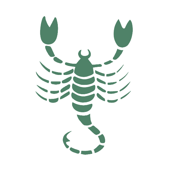 Icon of